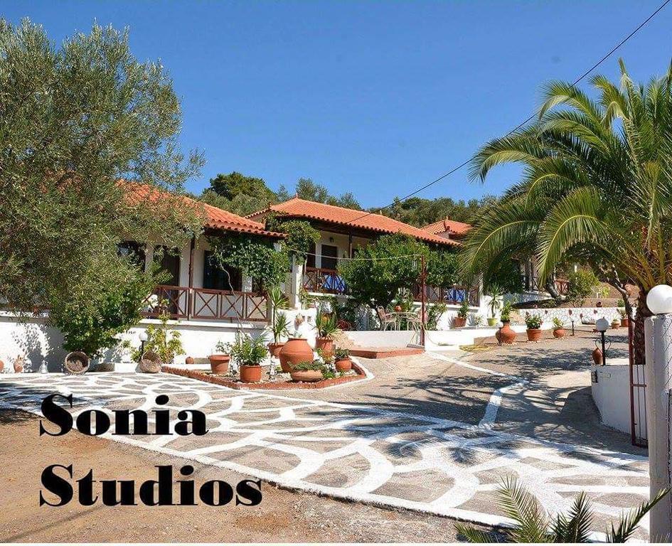 Sonia Studios Nees Kidonies Room photo